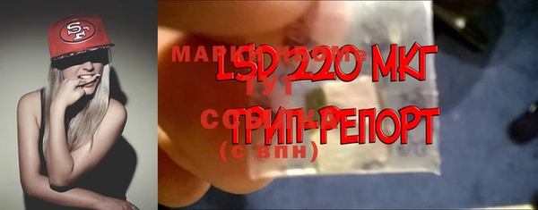 mdma Богданович
