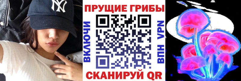Галлюциногенные грибы мухоморы  купить наркотик  Верхняя Тура 